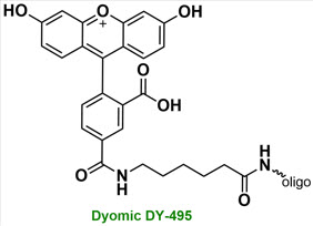 Bio-Synthesis Inc. Oligo Structure
